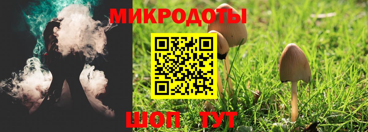 Вичуга  Псилоцибиновые грибы MAGIC MUSHROOMS  Вход с VPN 